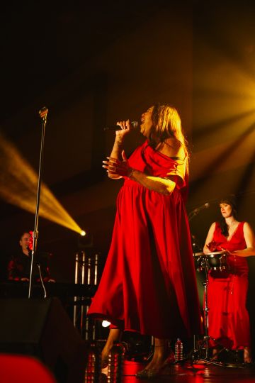 IMG_5495 (Large).JPG